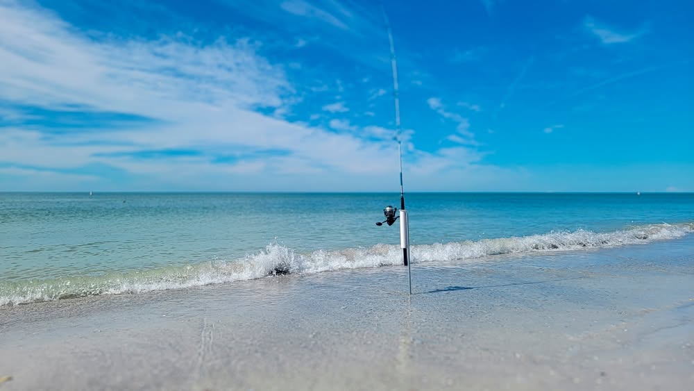 Image for 🌴 Save Up to 10% on Your Florida Getaway 🌴